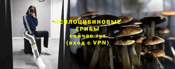 ECSTASY Алзамай