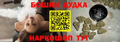 крисы Гатчина