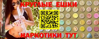 крисы Гатчина