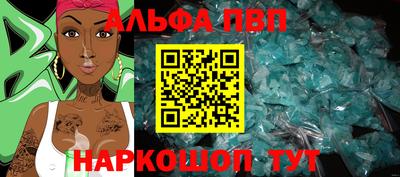 крисы Гатчина