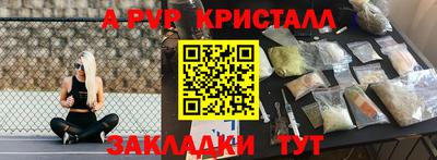 крисы Гатчина