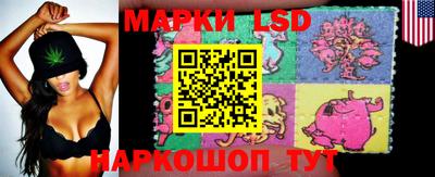 стаф Абакан