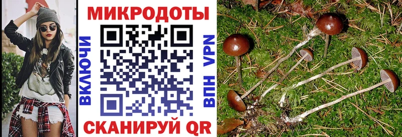 купить   Павловский Посад  Галлюциногенные грибы Psilocybe 