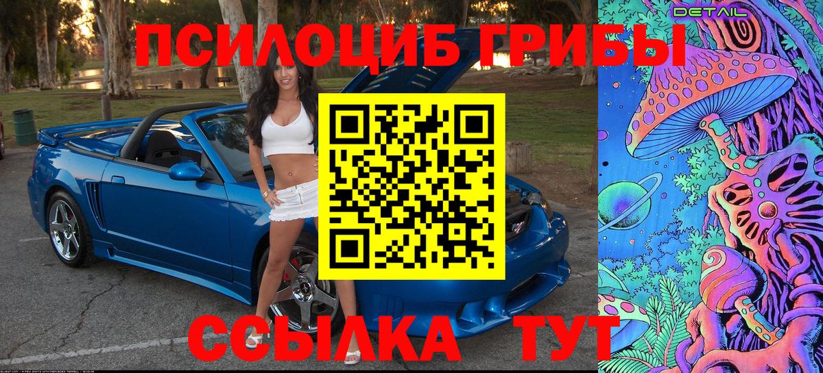 Галлюциногенные грибы Psilocybine cubensis Павловский Посад