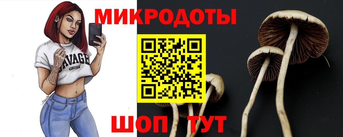 Псилоцибиновые грибы GOLDEN TEACHER Павловский Посад